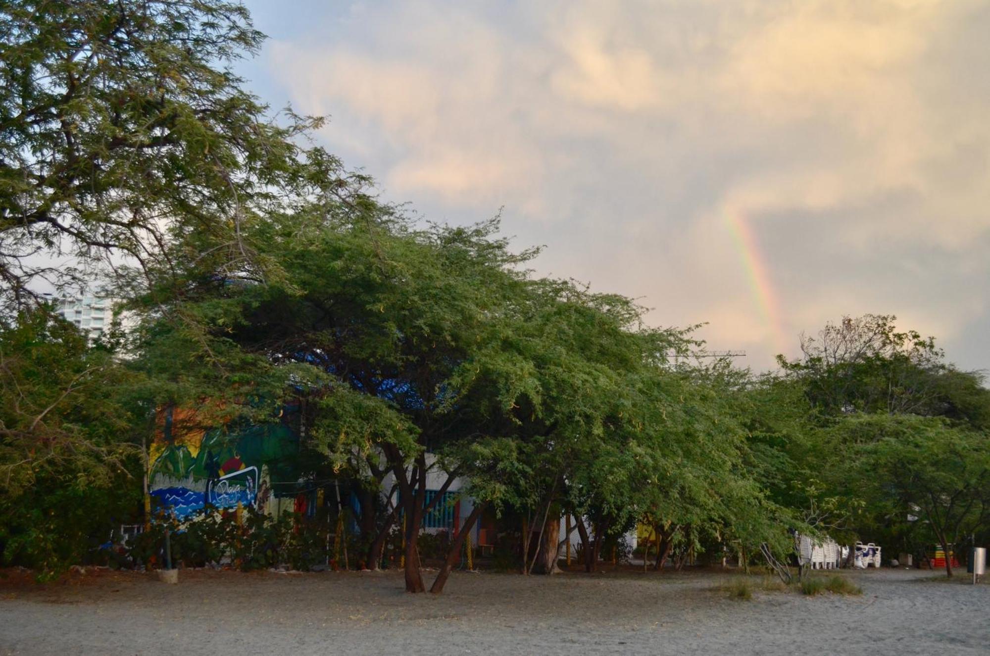 Playa Del Ritmo Beach Hostel & Bar - Adults Only Santa Marta  Exteriör bild